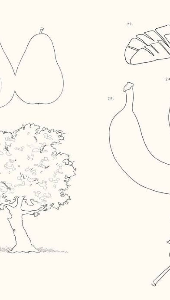 1970s vintage mushroom-themed coloring book with detailed line drawings of various fungi, including a large cap and stem.