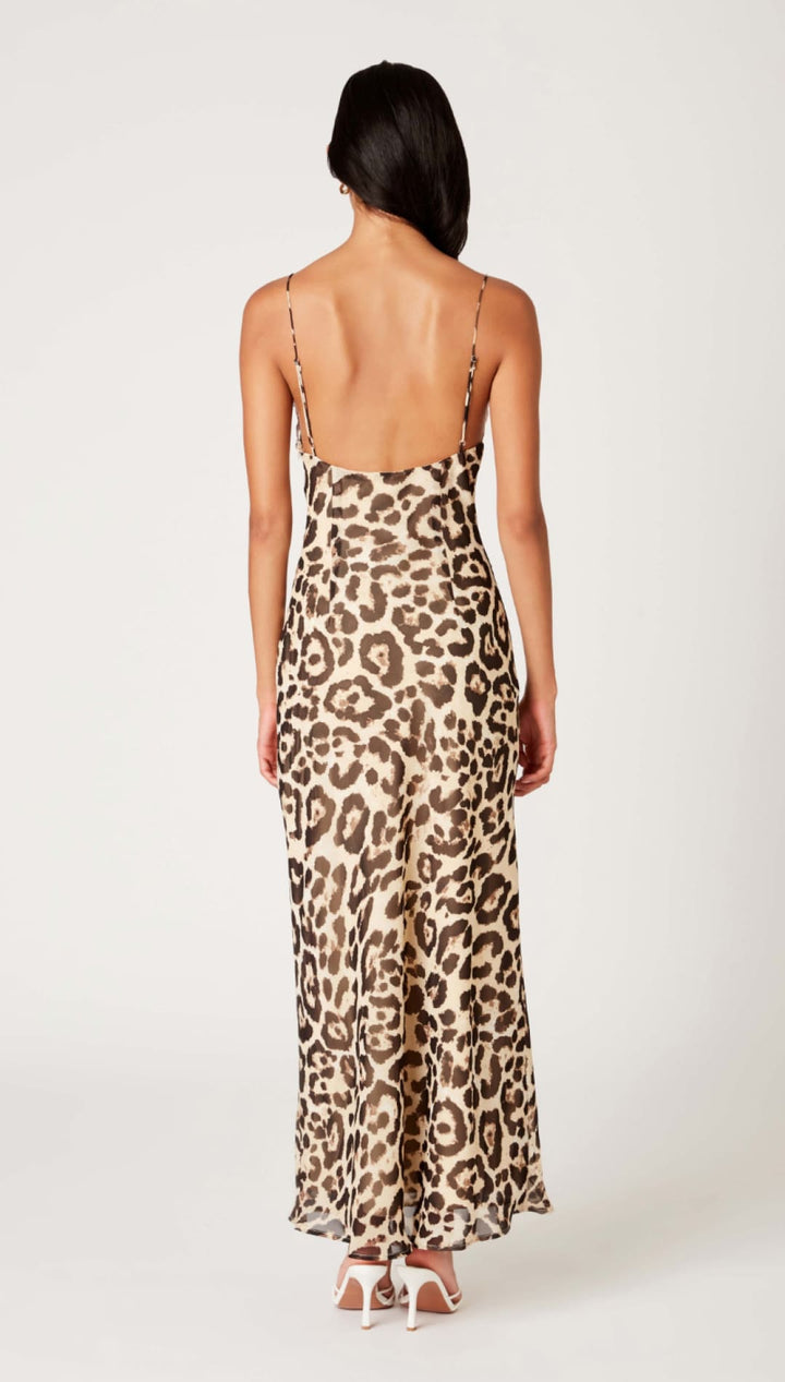 Leopard print slip dress.