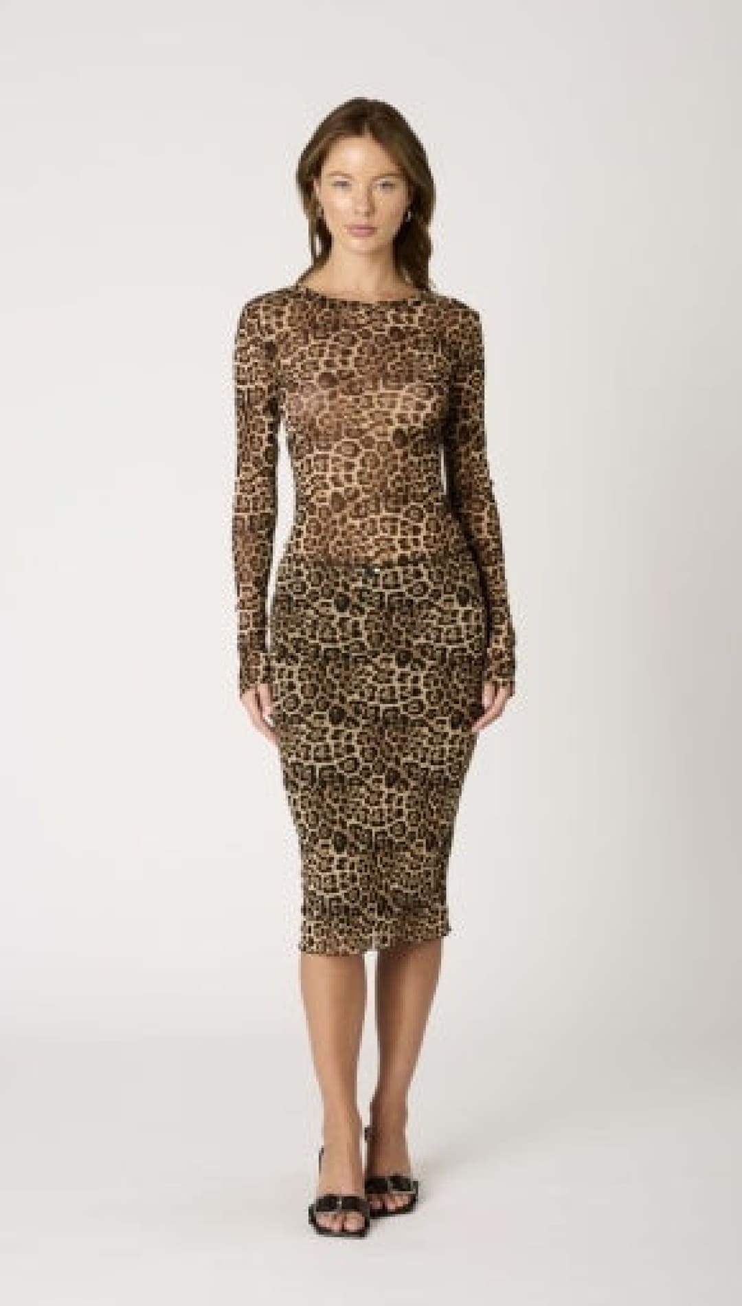 Leopard print long-sleeved dress.