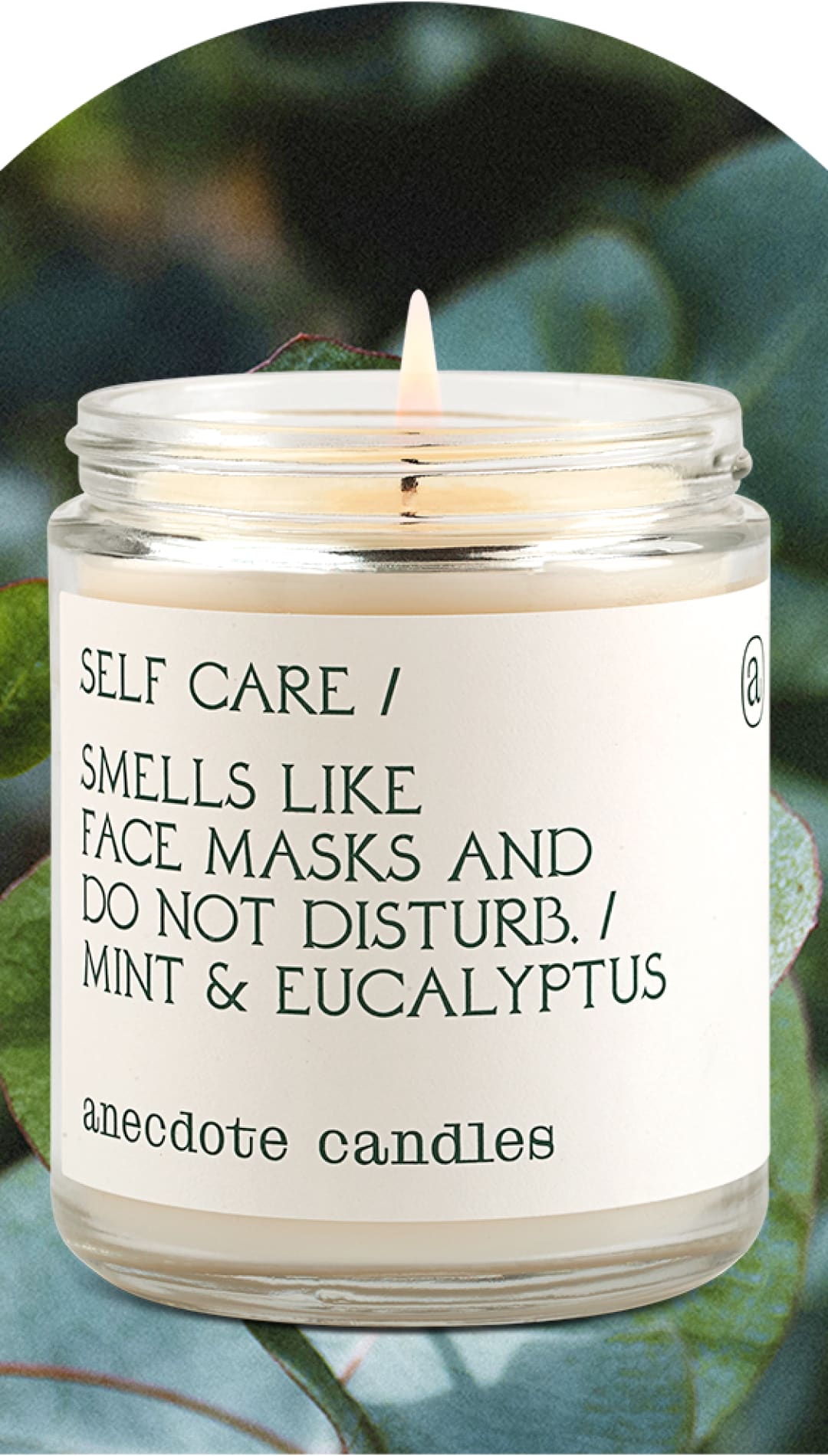 Self Care (Mint & Eucalyptus) Candle - 310 Home/Gift