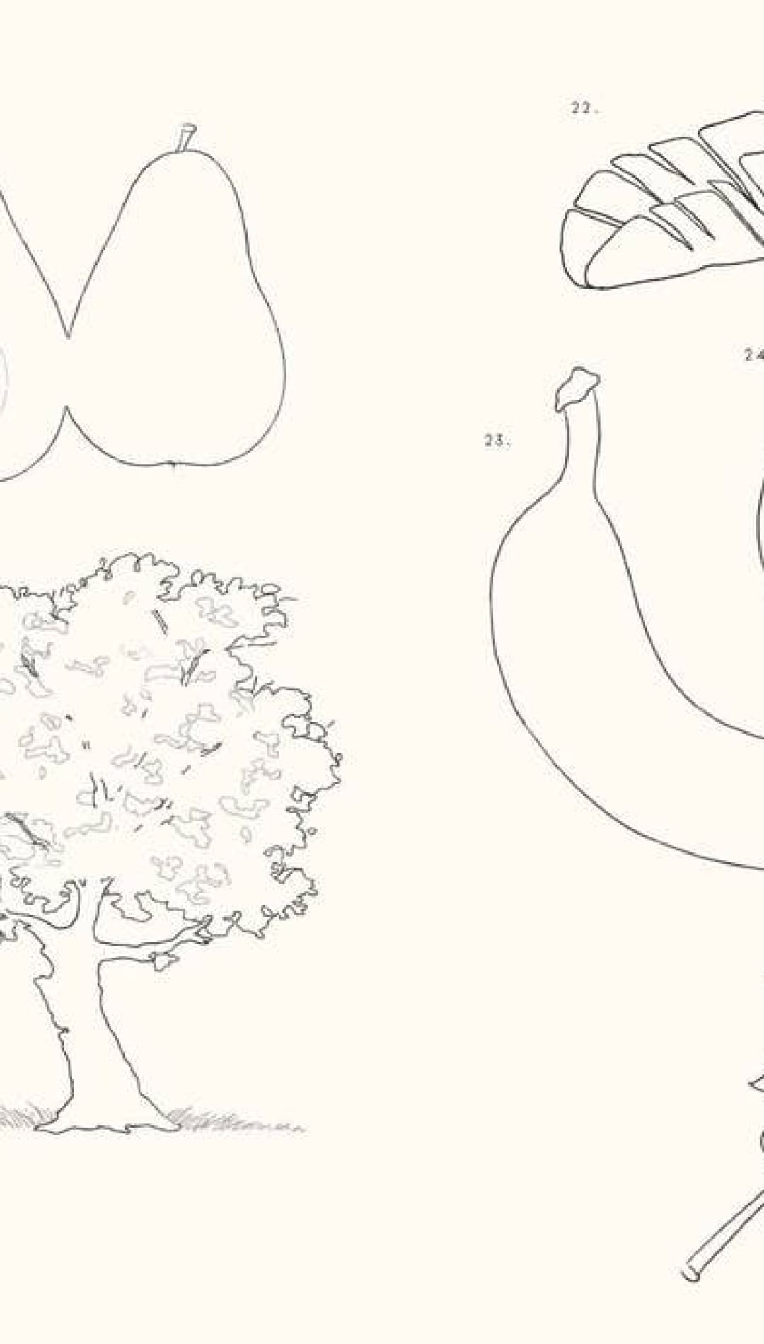 1970s vintage mushroom-themed coloring book with detailed line drawings of various fungi, including a large cap and stem.