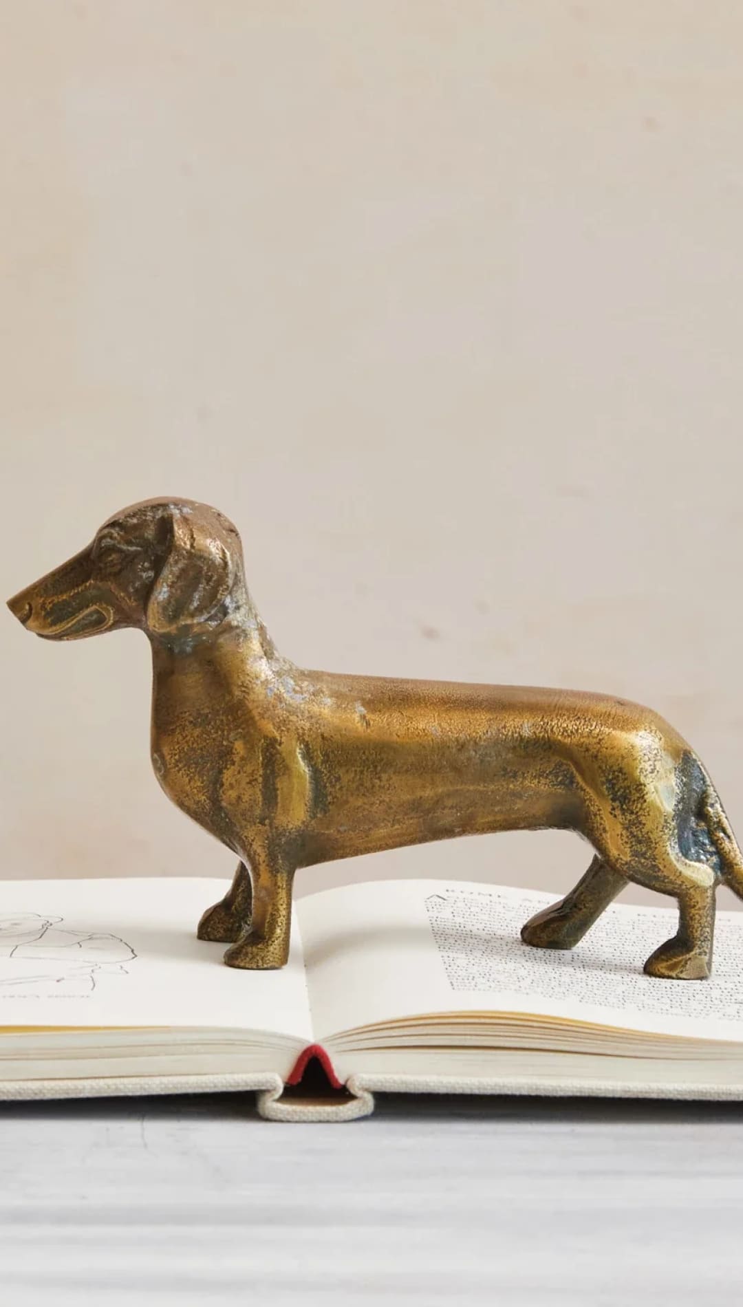 Cast Aluminum Dachshund - Brass - 310 Home/Gift