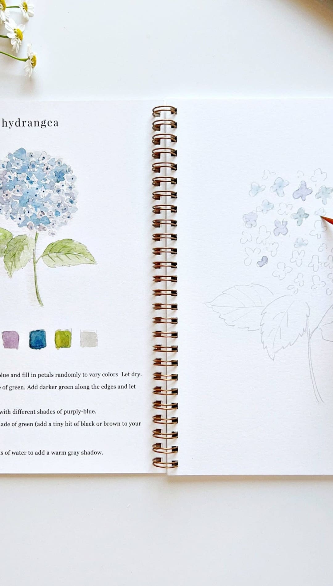 Hydrangea watercolor painting book with spiral binding and soft cover.