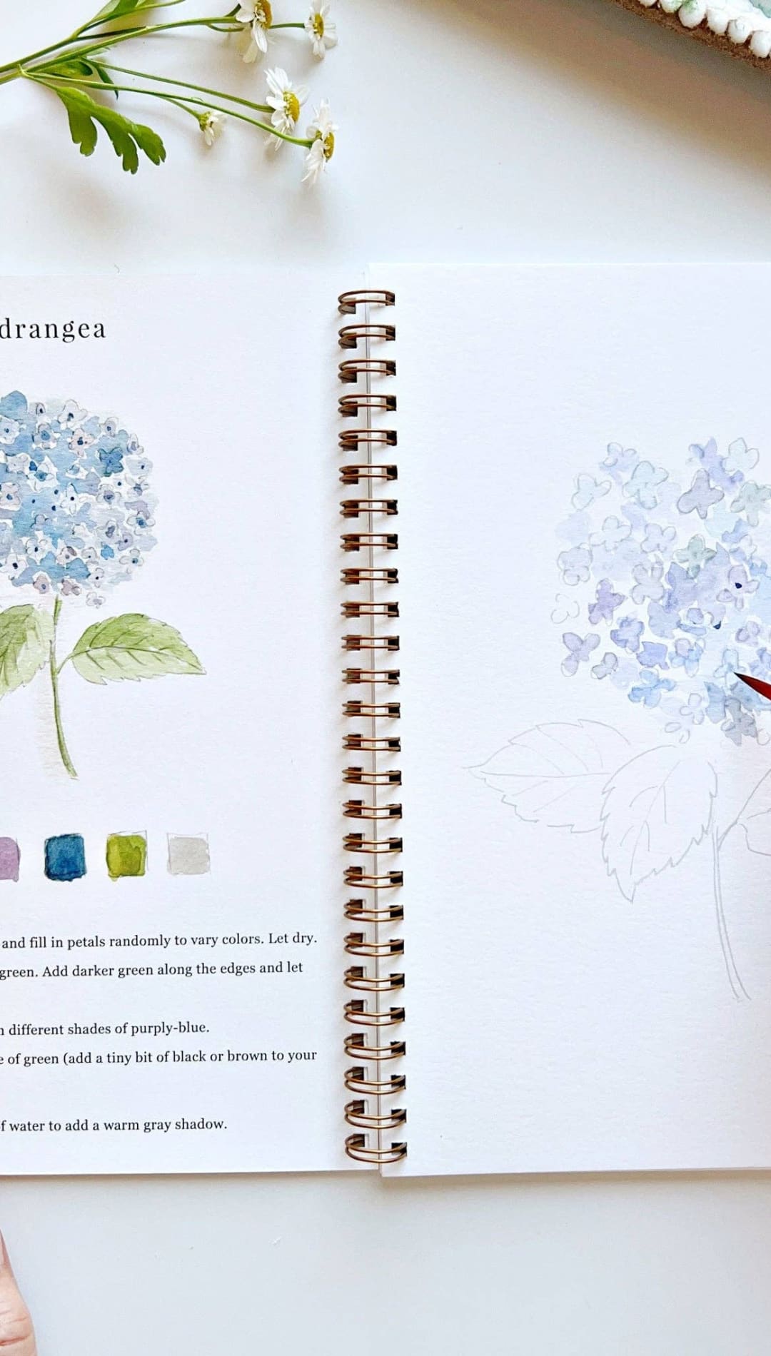 Hydrangea watercolor painting book with spiral binding and detailed instructions.