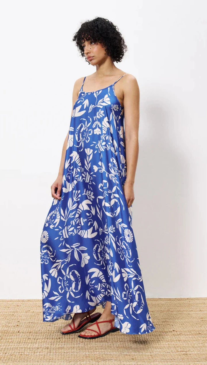 Blue and white floral print maxi dress.