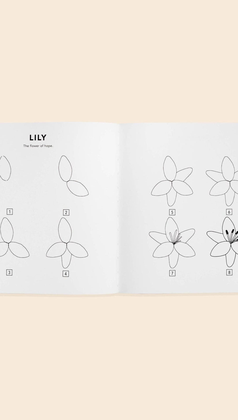 Modern Flowers: A How to Draw Book for Kids - 310 Home/Gift