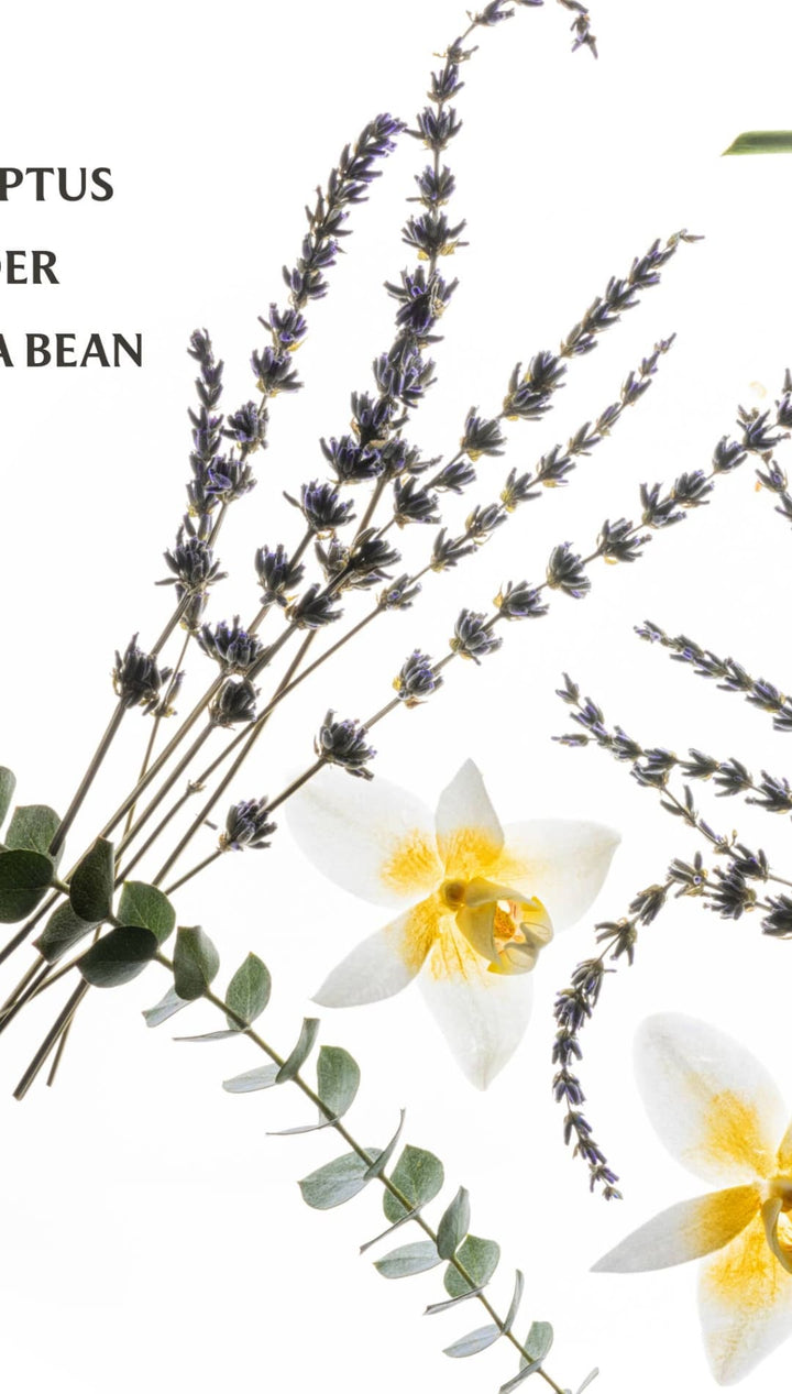 Lavender vanilla bean fragrance stick set with white orchids and eucalyptus leaves.