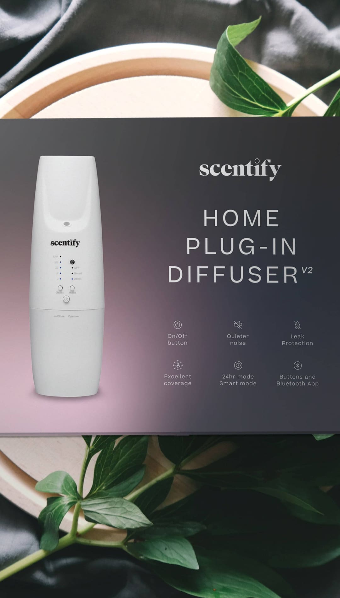 Scentify home plug-in diffuser product box displayed with green foliage accents.