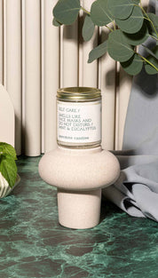 Self Care (Mint & Eucalyptus) Candle - 310 Home/Gift