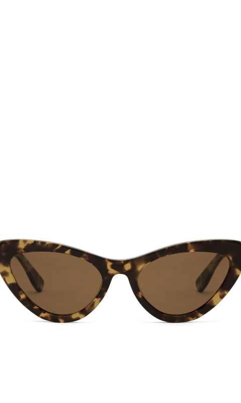 The Ward Sunglasses - Cloud Tort Choc - ACC